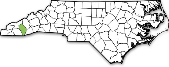 Jackson County North Carolina Process Server Resources Black Dog